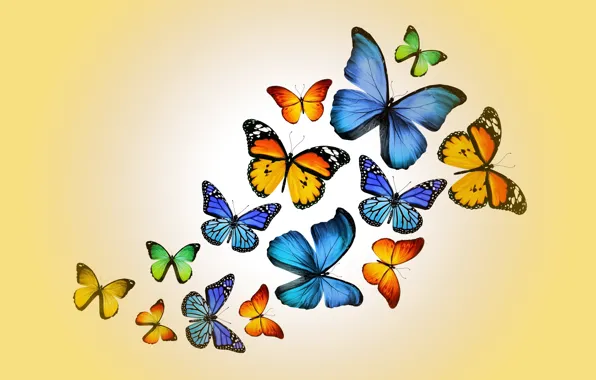 Бабочки, colorful, yellow, butterflies, design by Marika