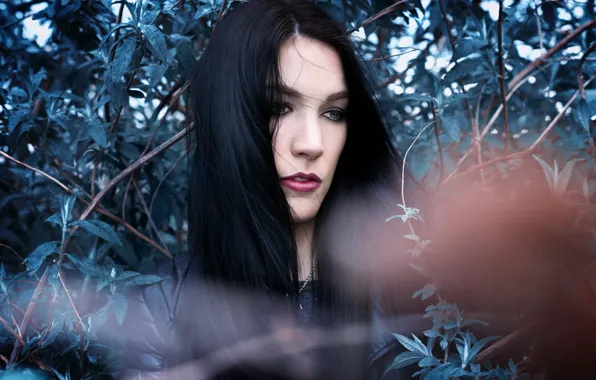 Взгляд, девушка, портрет, Louisa