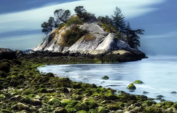 Картинка море, природа, берег