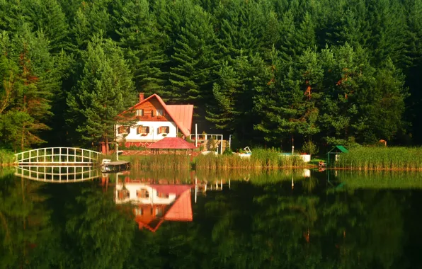 Лес, лето, озеро, дом, Природа, summer, house, forest