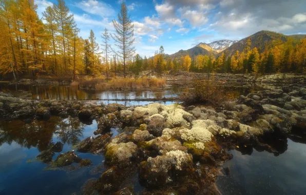 Осень, вода, пейзаж, горы, природа, растительность, лава, тайга