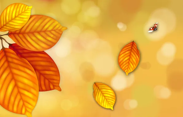 Картинка осень, листья, коллаж, божья коровка, насекомое