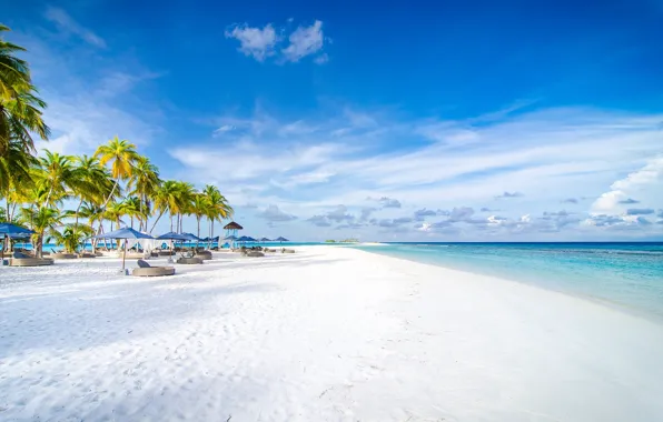 Песок, пляж, пальмы, океан, Мальдивы, курорт, Maldives, Finolhu beach