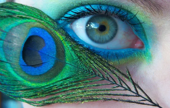 Green, blue, eye, peacock feather, bluegreen, ashy
