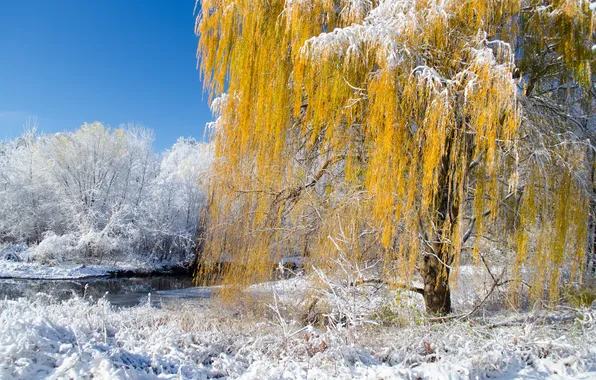 Картинка зима, осень, лес, снег, деревья, природа, река