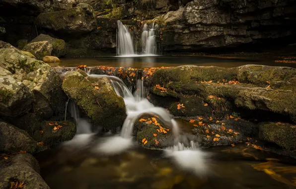 Картинка осень, листья, природа, камни, водопад