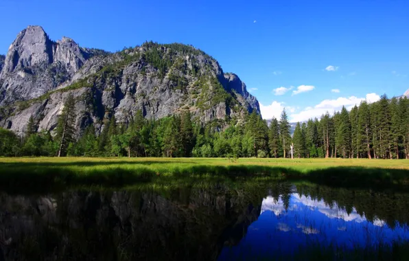 Лес, деревья, горы, озеро, Yosemite National Park