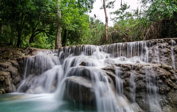 Картинка лес, деревья, тропики, ручей, камни, водопад, Kuang Si Falls, Laos