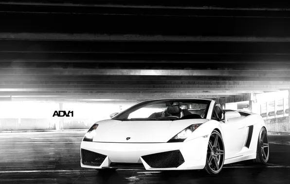 Картинка белый, свет, надпись, гараж, Lamborghini, суперкар, Gallardo, Spyder
