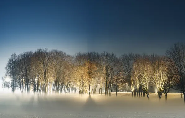 Картинка зима, ночь, парк