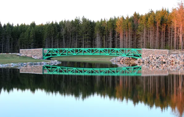 Картинка Природа, Осень, Озеро, Деревья, Лес, Nature, Fall, Bridge