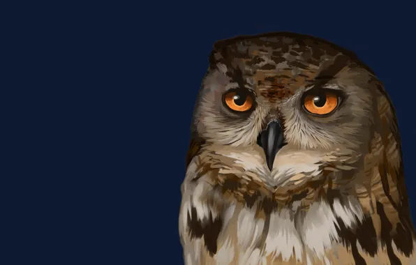 Темный фон, сова, птица, owl