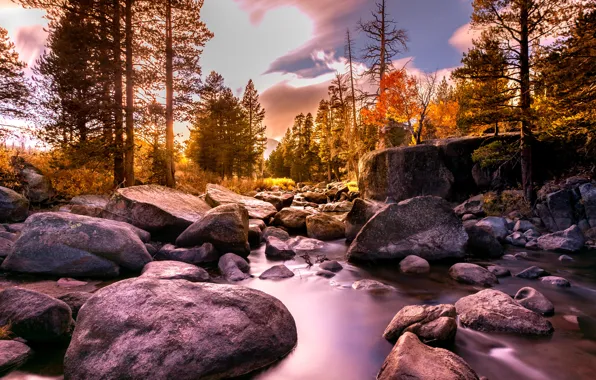 Картинка осень, деревья, пейзаж, природа, река, камни, Калифорния, США