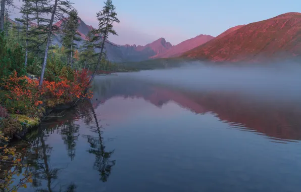 Картинка осень, пейзаж, горы, природа, туман, озеро, утро, леса