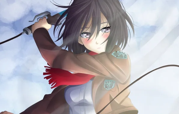 Картинка девушка, оружие, меч, аниме, арт, shingeki no kyojin, mikasa ackerman, вторжение гигантов