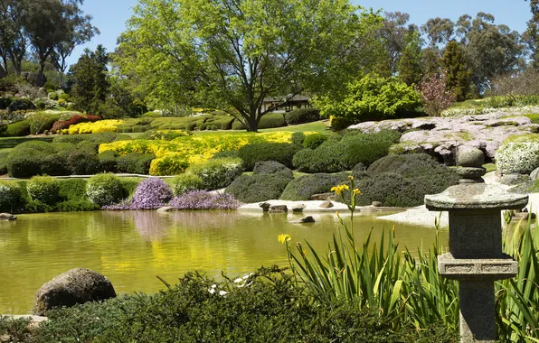 Трава, деревья, пруд, камни, сад, Австралия, кусты, Cowra Japanese Garden