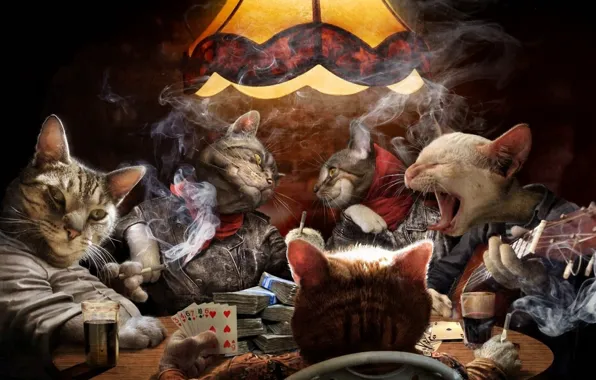 Картинка карты, кошки, дым, гитара, деньги, сигареты