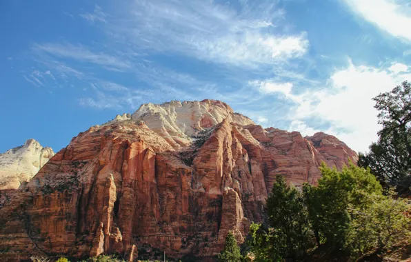 Картинка rock, landscape, tree, wilderness