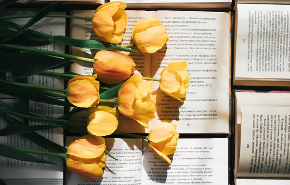 Цветы, текст, книги, букет, желтые, тюльпаны, страницы, литература