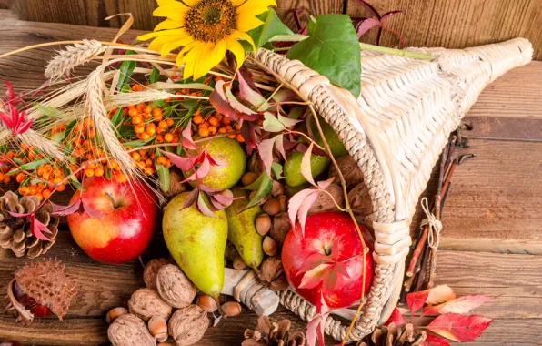 Цветы, фрукты, орехи, корзинка, шишки, рябина, дары осени