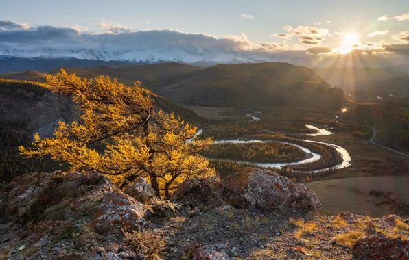 Осень, лес, солнце, горы, туман, река, камни, дерево