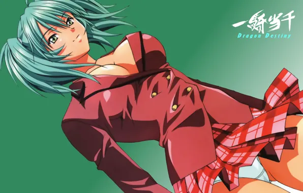 Грудь, взгляд, Ikkitousen, Рёфу Хосен