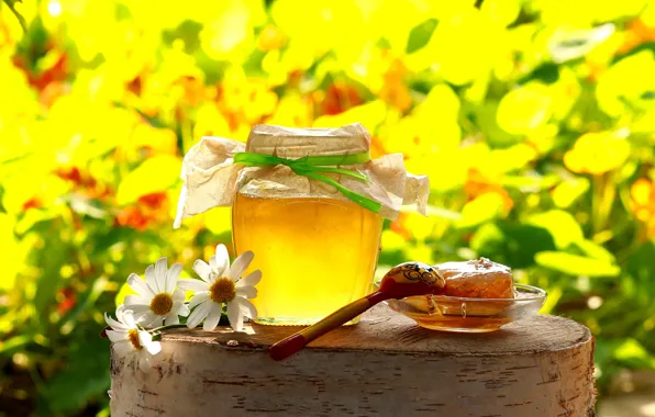 Поле, лето, цветы, пень, ромашки, соты, желтые, ложка