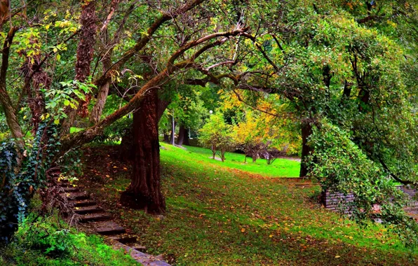 Картинка осень, листья, деревья, парк, ветви, Природа, лестница, ступени