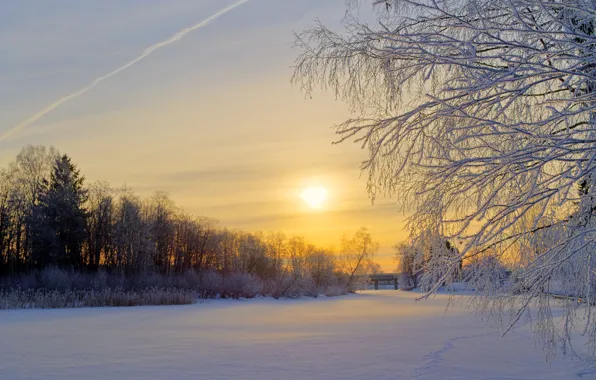 Картинка зима, иней, лес, солнце, снег, деревья, восход, поляна