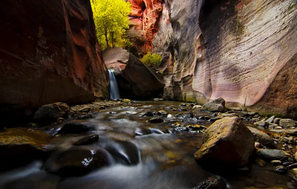 Картинка деревья, река, ручей, камни, скалы, каньон, Юта, США