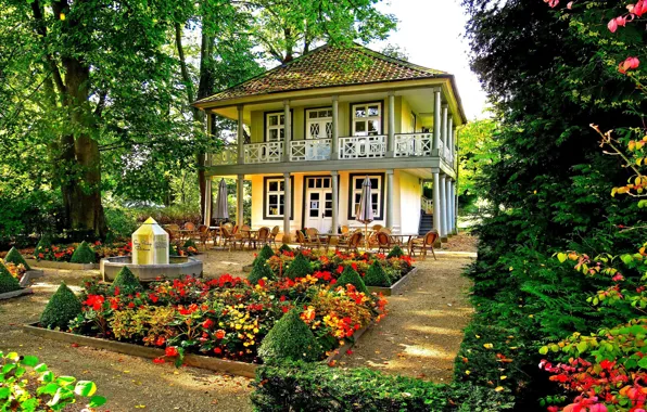 Картинка цветы, дом, сад