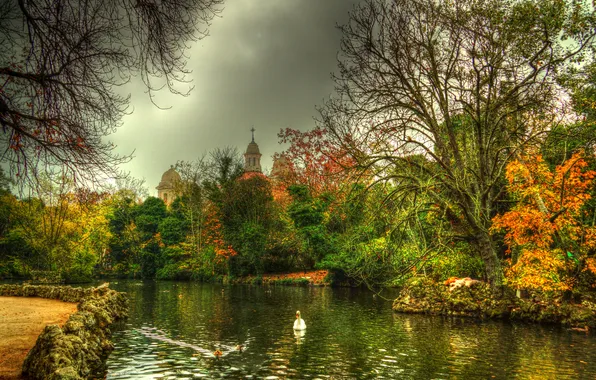 Осень, деревья, HDR, лебедь, речка, Испания, кусты, Castille and Leon