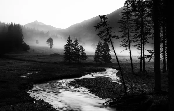 Картинка поле, лес, небо, деревья, горы, ручей