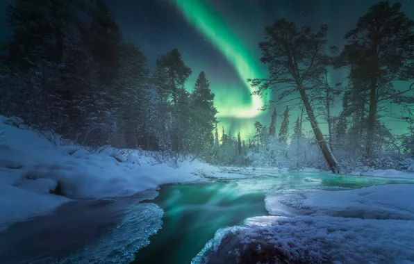 Картинка зима, лес, снег, деревья, река, северное сияние, Россия, Кольский полуостров