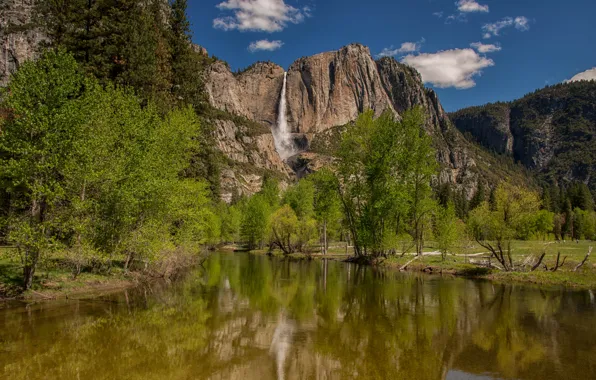 Деревья, горы, река, водопад, Калифорния, Йосемити, California, Yosemite National Park