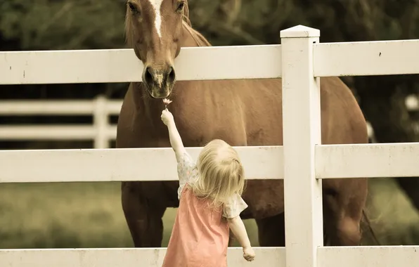Картинка настроение, конь, девочка