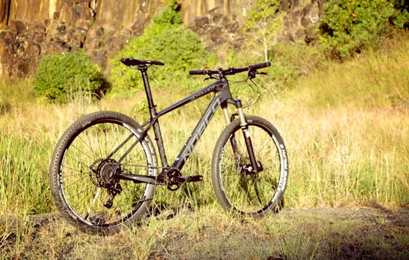 Лето, природа, спорт, bicycle, bike, sports, mountain bike