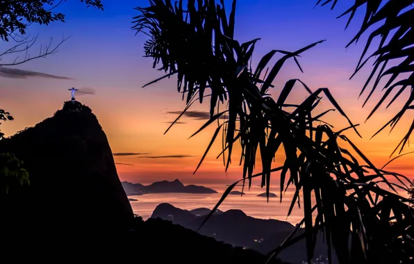Картинка море, небо, пальма, статуя, Рио-де-Жанейро, Rio de Janeiro