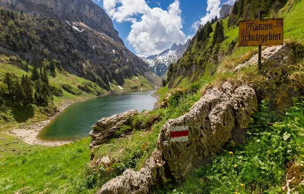 Картинка горы, озеро, Швейцария, Альпы