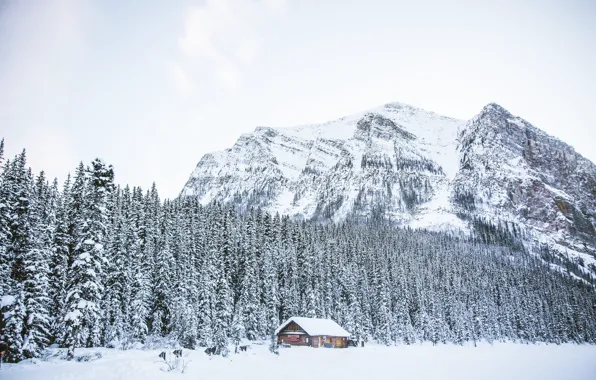 Картинка зима, лес, снег, деревья, горы, озеро, house, хижина