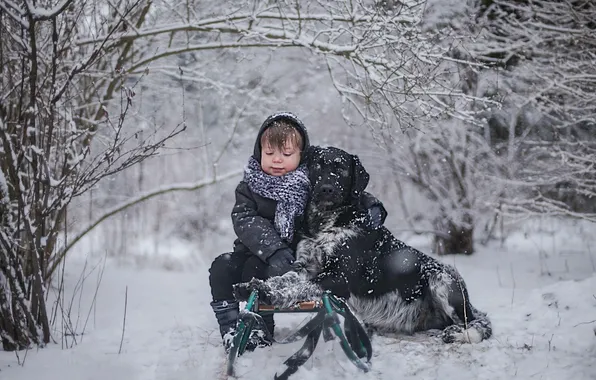 Картинка зима, собака, мальчик