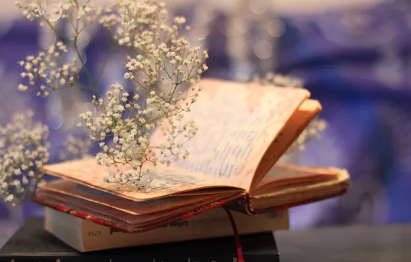 Mood, bokeh, plant, books