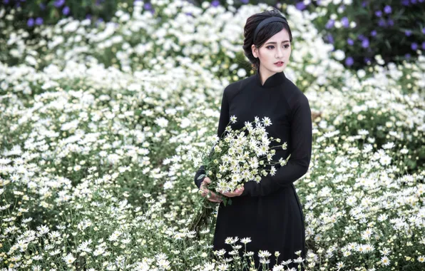 Картинка девушка, цветы, азиатка, хризантемы, вьетнамка