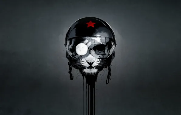 Минимализм, Кот, Стиль, Шлем, Лев, Фон, Арт, Art