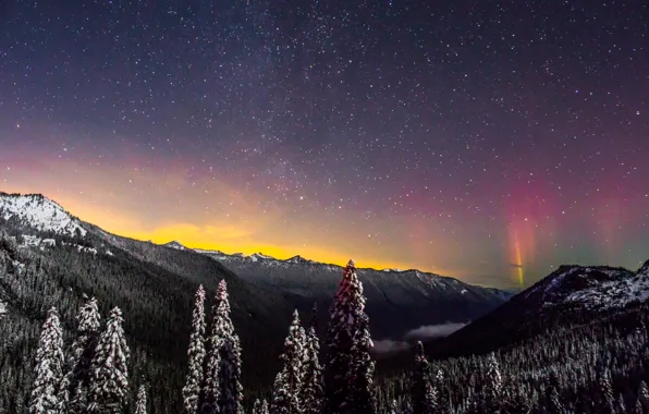 Картинка зима, лес, звезды, снег, горы, Rainier National Park