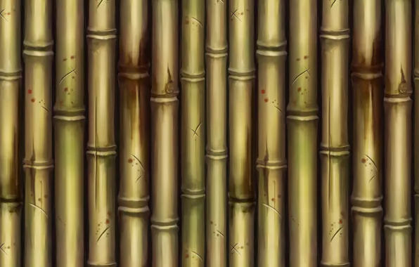 Картинка текстура, бамбук, арт, Bamboo, Dan Khanh Tran