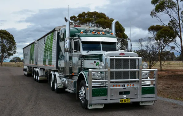 Тягач, peterbilt, автопоезд, road train