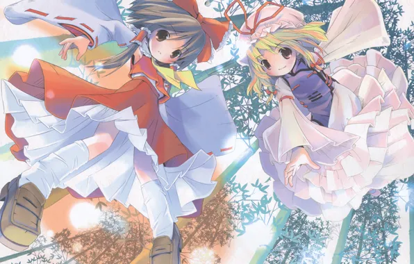 Полет, магия, бамбук, бант, touhou, art, оборки, pop