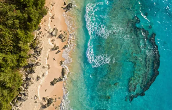 Пляж, пейзаж, природа, океан, Бермуды, Бермудские острова, Marley Beach