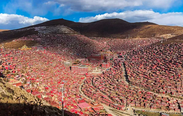 Картинка пейзаж, дома, Китай, Тибет, монастырь, Сычуань, Седа